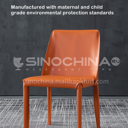 DPT-2154 Scandinavian minimalist dining chair iron inner frame + hard leather